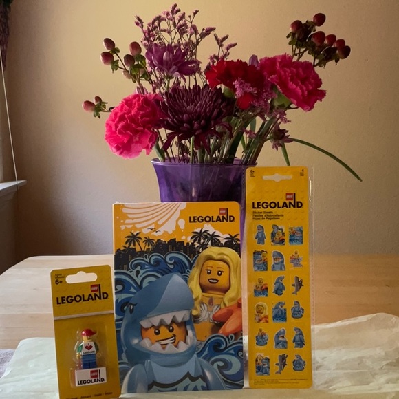 🦈 📚LEGOLAND  NOTEBOOK  BUNDLE 🦈📚 - Picture 11 of 16